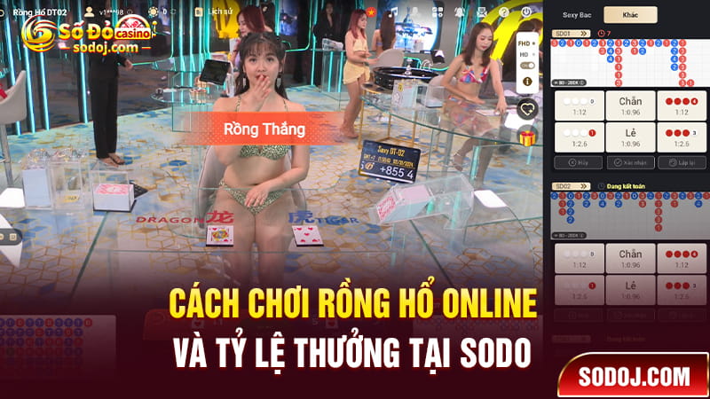 Cách chơi Rồng hổ online tại SODO