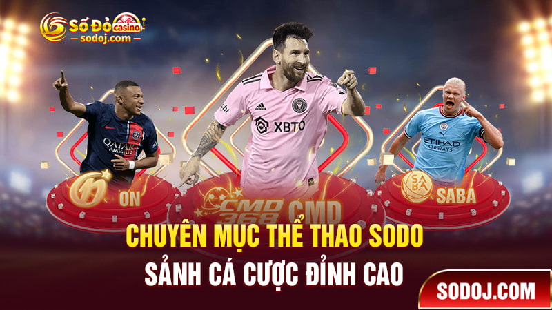 Giới thiệu chuyên mục thể thao SODO