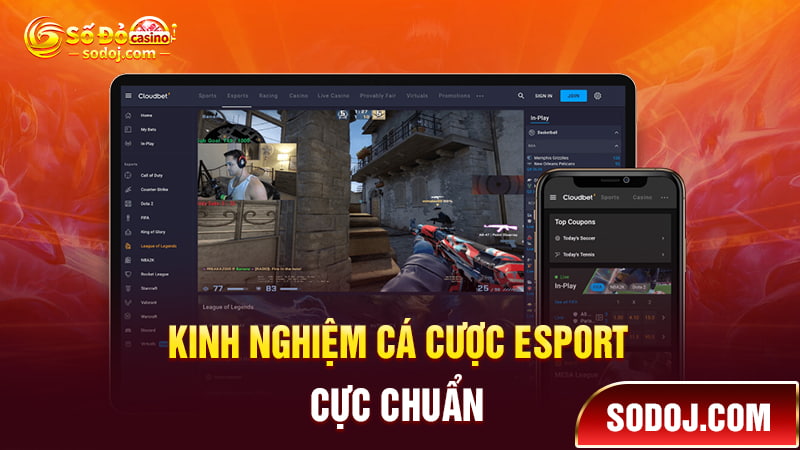 Chia sẻ kinh nghiệm cá cược Esport cực chuẩn