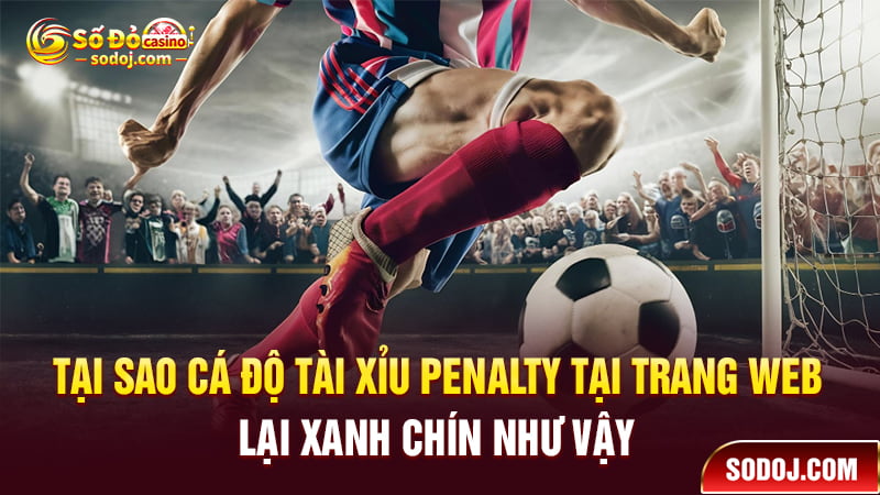 Tại sao cá độ Tài xỉu Penalty tại trang web lại xanh chín như vậy